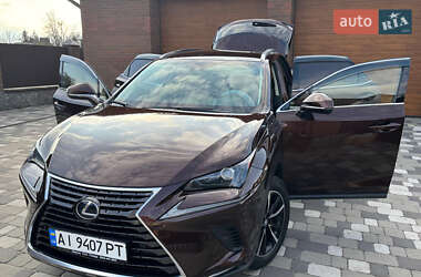Внедорожник / Кроссовер Lexus NX 2019 в 