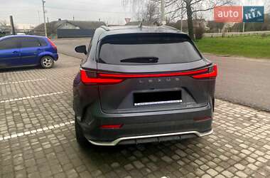 Lexus NX 2023 Lexus NX 2023