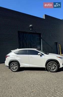 Внедорожник / Кроссовер Lexus NX 2019 в 