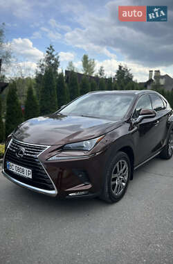 Lexus NX 2019 Lexus NX 2019