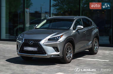 Позашляховик / Кросовер Lexus NX 2020 в 