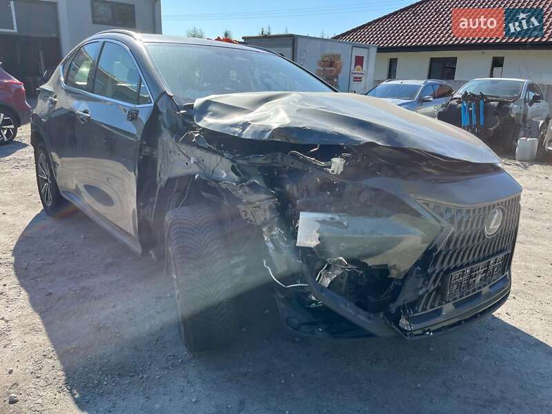 Внедорожник / Кроссовер Lexus NX 2022 в Збараже