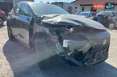 Внедорожник / Кроссовер Lexus NX 2022 в 