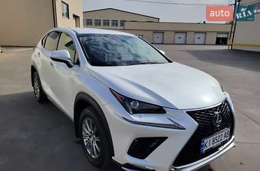 Внедорожник / Кроссовер Lexus NX 2019 в 