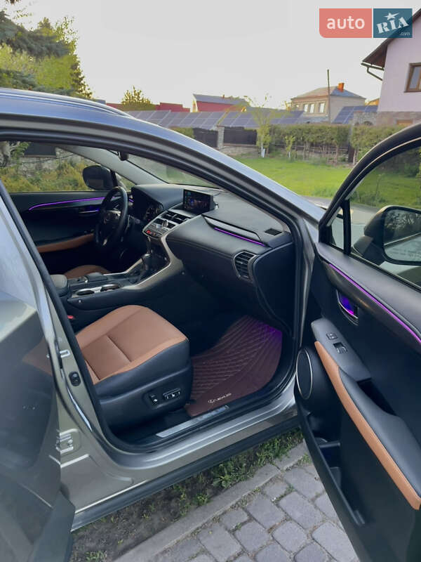 Внедорожник / Кроссовер Lexus NX 2019 в Тернополе фото 19 Внедорожник / Кроссовер Lexus NX 2019 в Тернополе