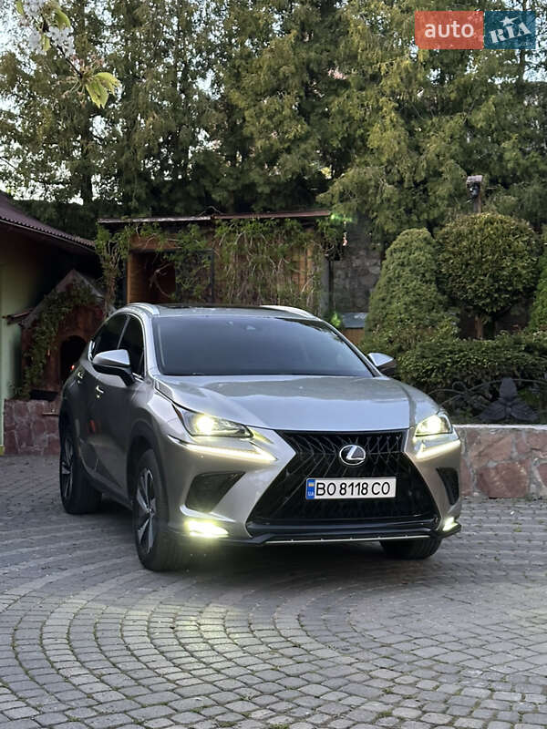 Внедорожник / Кроссовер Lexus NX 2019 в Тернополе фото 50 Внедорожник / Кроссовер Lexus NX 2019 в Тернополе