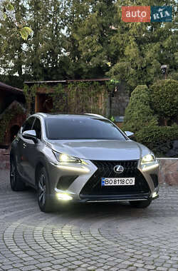 Внедорожник / Кроссовер Lexus NX 2019 в 