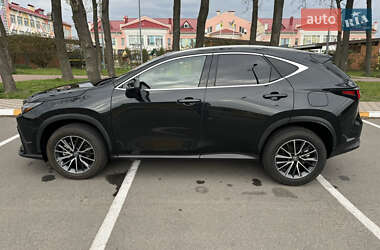 Внедорожник / Кроссовер Lexus NX 2022 в 