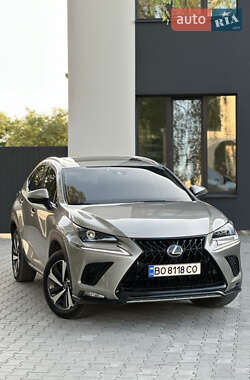 Lexus NX 2019 Lexus NX 2019