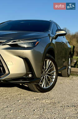 Внедорожник / Кроссовер Lexus NX 2024 в 
