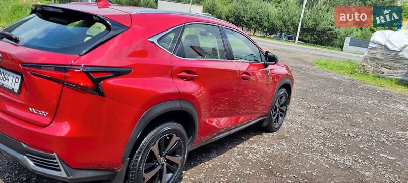 Внедорожник / Кроссовер Lexus NX 2020 в Новояворовске