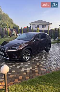 Внедорожник / Кроссовер Lexus NX 2019 в 