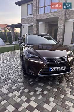 Внедорожник / Кроссовер Lexus NX 2019 в 