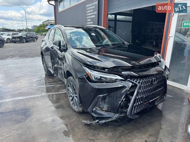 Внедорожник / Кроссовер Lexus NX 2023 в 