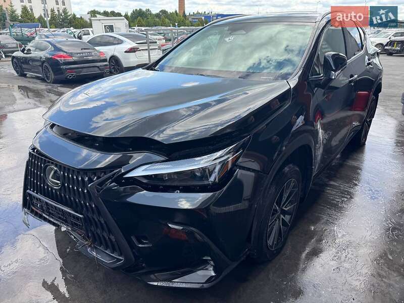 Внедорожник / Кроссовер Lexus NX 2023 в Львове фото 6 Внедорожник / Кроссовер Lexus NX 2023 в Львове