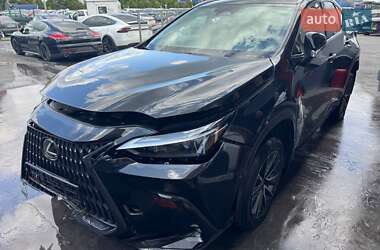 Внедорожник / Кроссовер Lexus NX 2023 в 