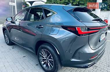 Внедорожник / Кроссовер Lexus NX 2024 в 