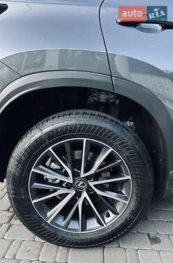 Внедорожник / Кроссовер Lexus NX 2024 в 