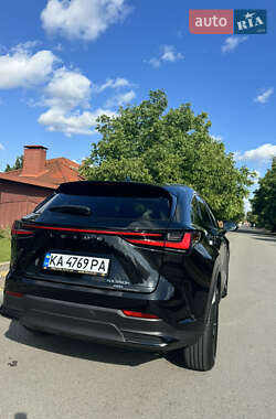 Позашляховик / Кросовер Lexus NX 2022 в 