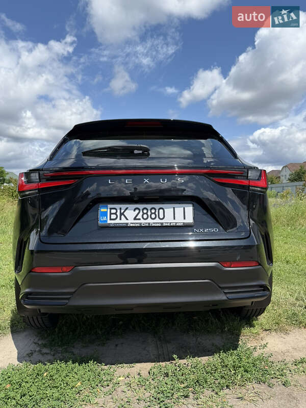 Внедорожник / Кроссовер Lexus NX 2022 в Киеве