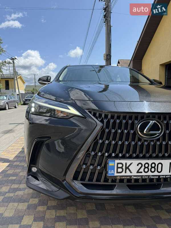 Внедорожник / Кроссовер Lexus NX 2022 в Киеве