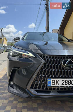 Внедорожник / Кроссовер Lexus NX 2022 в 