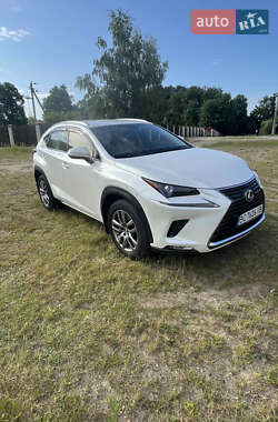Внедорожник / Кроссовер Lexus NX 2019 в 