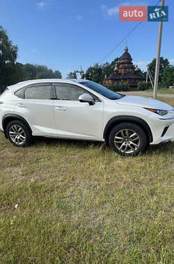 Внедорожник / Кроссовер Lexus NX 2019 в 