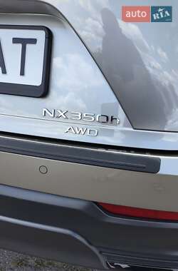 Позашляховик / Кросовер Lexus NX 2022 в 