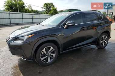 Lexus NX 2021 Lexus NX 2021