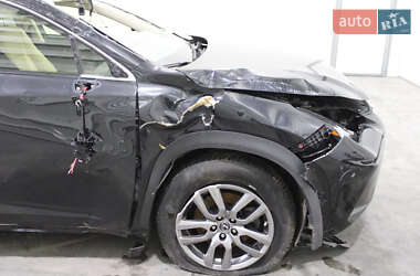 Внедорожник / Кроссовер Lexus NX 2021 в 