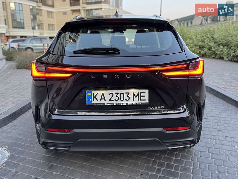 Внедорожник / Кроссовер Lexus NX 2022 в Киеве фото 26 Внедорожник / Кроссовер Lexus NX 2022 в Киеве