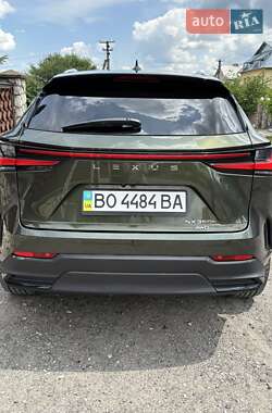 Внедорожник / Кроссовер Lexus NX 2023 в 