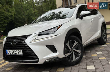 Внедорожник / Кроссовер Lexus NX 2019 в 