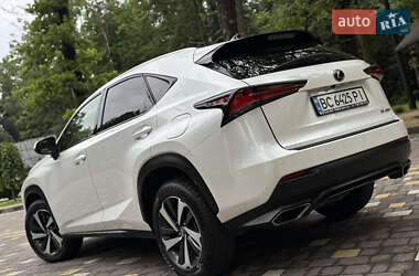 Внедорожник / Кроссовер Lexus NX 2019 в 