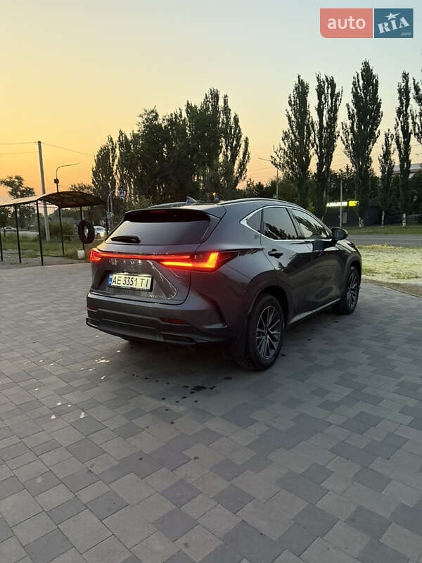 Внедорожник / Кроссовер Lexus NX 2022 в Павлограде