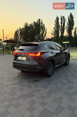 Внедорожник / Кроссовер Lexus NX 2022 в 