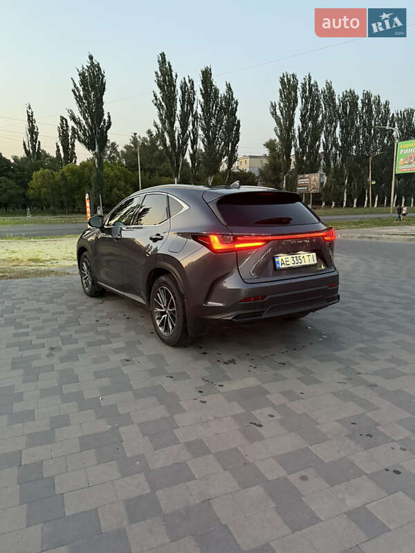 Внедорожник / Кроссовер Lexus NX 2022 в Павлограде
