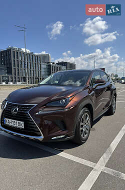 Lexus NX 2020