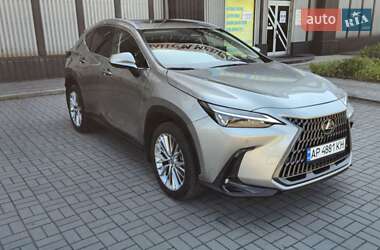 Внедорожник / Кроссовер Lexus NX 2024 в 