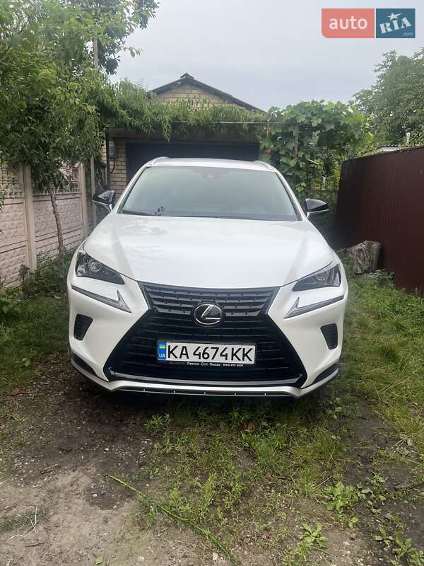 Внедорожник / Кроссовер Lexus NX 2020 в 
