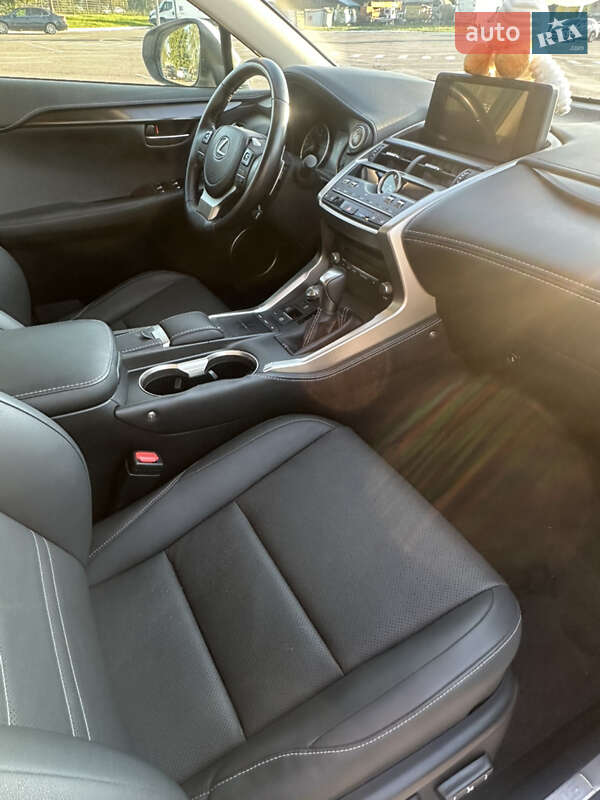 Внедорожник / Кроссовер Lexus NX 2021 в Житомире фото 27 Внедорожник / Кроссовер Lexus NX 2021 в Житомире