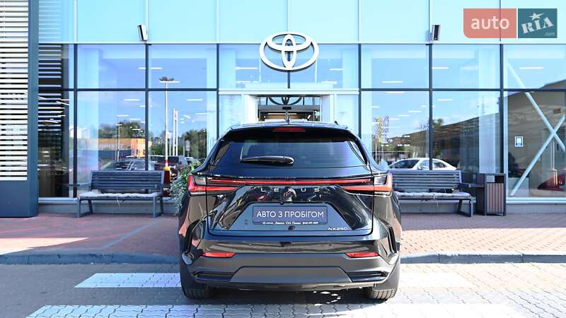 Позашляховик / Кросовер Lexus NX 2022 в Києві