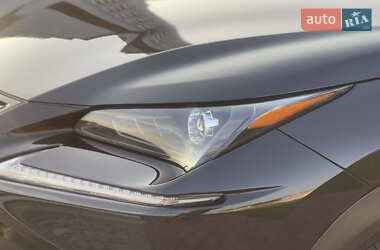 Внедорожник / Кроссовер Lexus NX 2021 в 