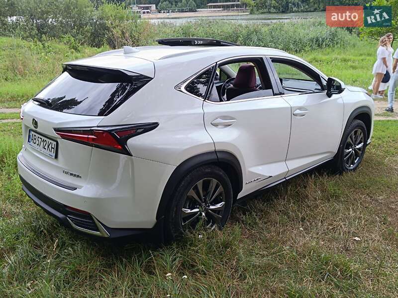 Внедорожник / Кроссовер Lexus NX 2019 в Виннице фото 26 Внедорожник / Кроссовер Lexus NX 2019 в Виннице