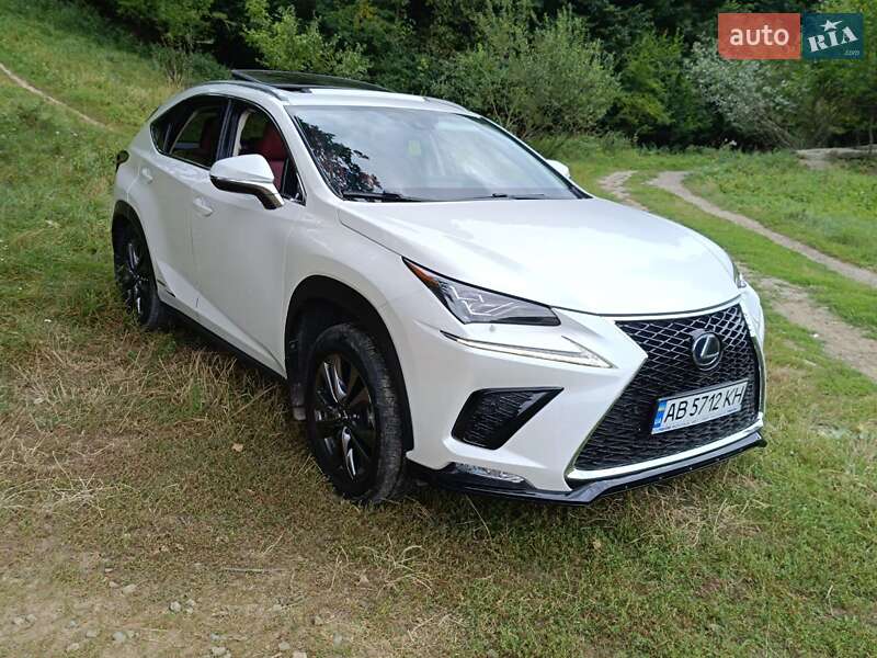 Внедорожник / Кроссовер Lexus NX 2019 в Виннице фото 36 Внедорожник / Кроссовер Lexus NX 2019 в Виннице
