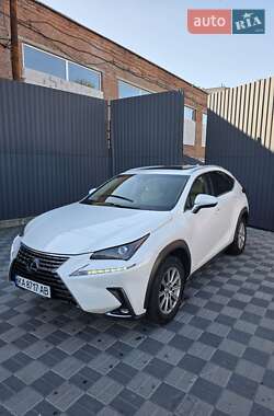 Позашляховик / Кросовер Lexus NX 2018 в 