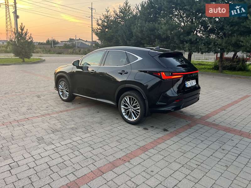 Внедорожник / Кроссовер Lexus NX 2022 в Солонке фото 8 Внедорожник / Кроссовер Lexus NX 2022 в Солонке