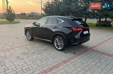 Внедорожник / Кроссовер Lexus NX 2022 в 
