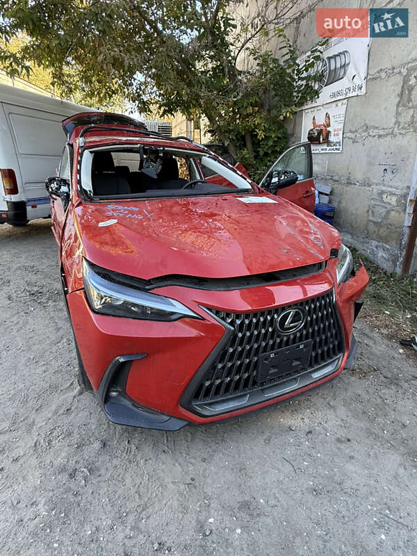 Внедорожник / Кроссовер Lexus NX 2024 в 